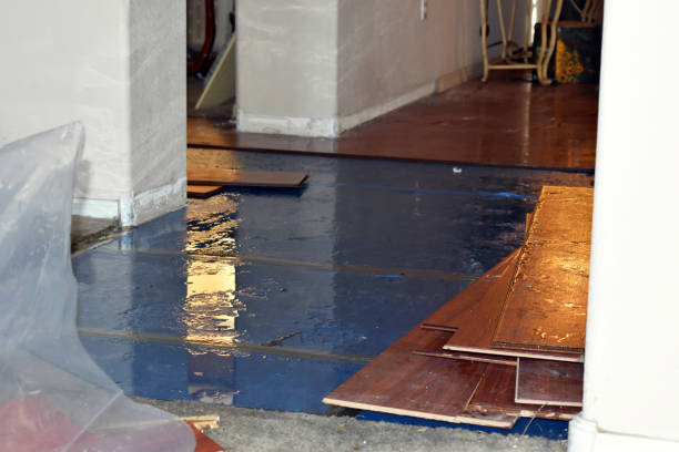 Professional Basement Flood Cleanup technician working in East Marion, NY